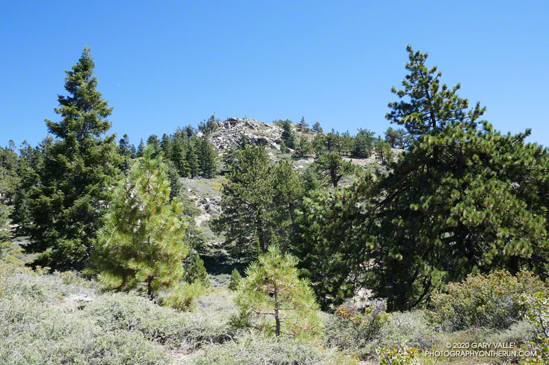 Looking up at the shoulder of Mt. Pinos with about a mile remaining to the East Tamamait Trailhead at the Condor Observation Site.