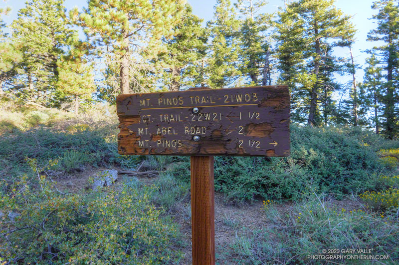 Trail sign at the junction of the Tumamait and North Fork Trails. The mileages seem about right. Trail 22W21 is the Mesa Spring Trail. Elevation is about 8515'.