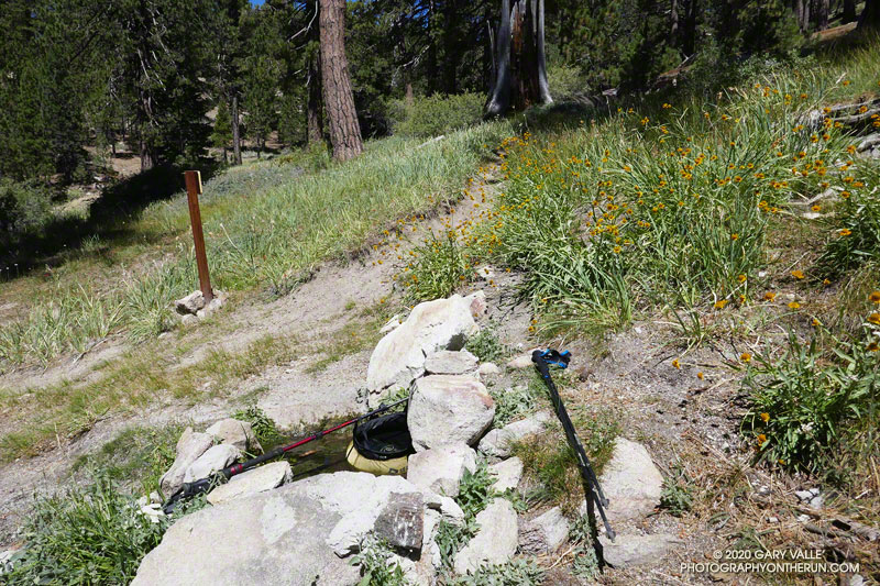 The spring at Sheep Camp is on the North Fork Trail, about 0.4 mile south of the Vincent Tumamait Trail junction.