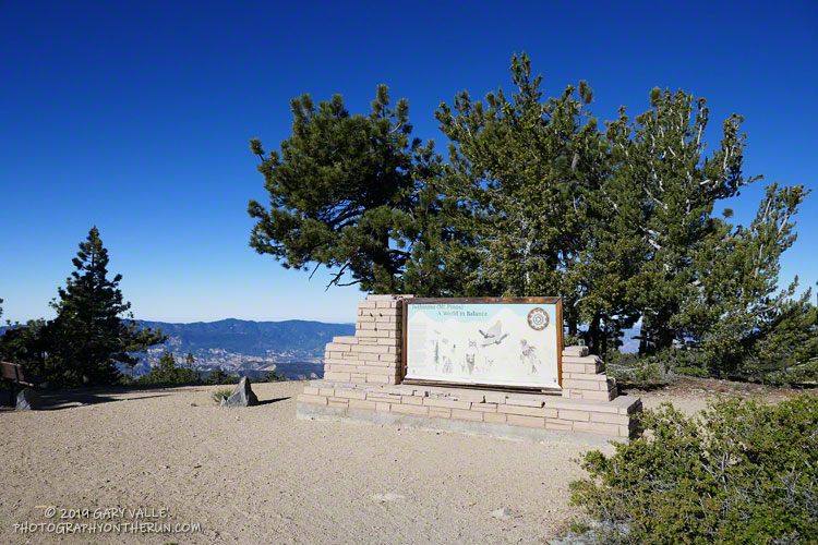 For many that do the 1.9 mile excursion from the Chula Vista parking lot, the Condor Summit Observation Site is the practical summit of Mt. Pinos. The highest point on Mt. Pinos is at the end of the service road on top of the hill with the communications tower, about 0.2 mile to the ENE.
