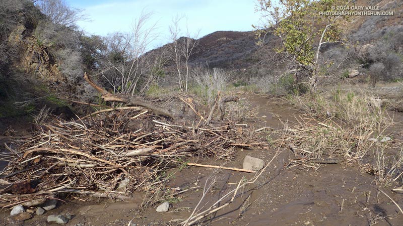 More flood debris along a remnant of trail in lower Blue Canyon.