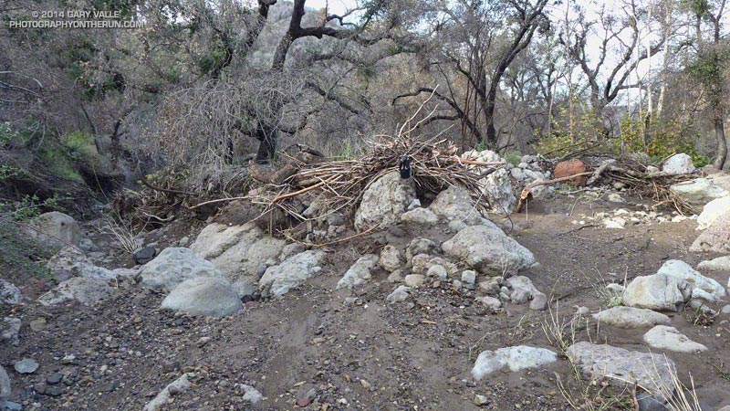 Flash flood debris at least six feet above the streambed in Blue Canyon. Normal stream course is to the left. (Cap on debris provides scale.) This canyon has been subject to many flash floods.