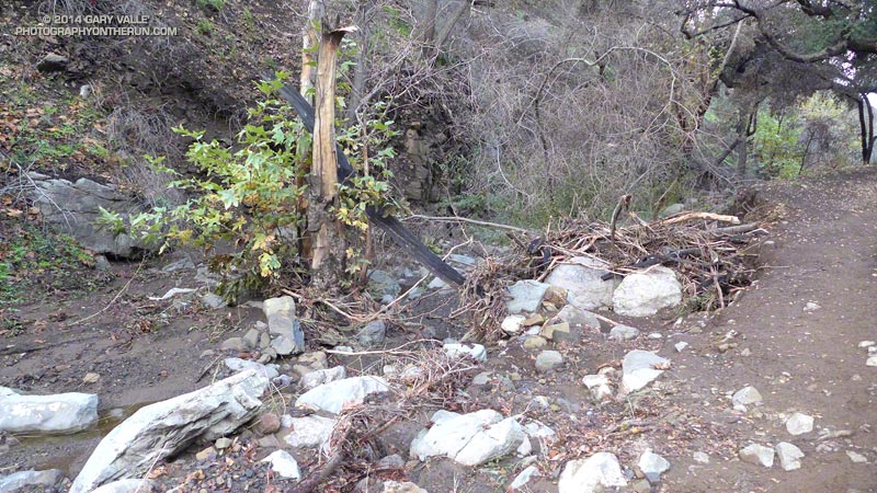 View downstream from Danielson Road at Upper Sycamore Canyon. The debris is an indicator of the width and depth of the flow here.