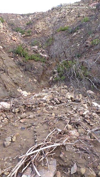 Debris flow from a ravine above Danielson Road.