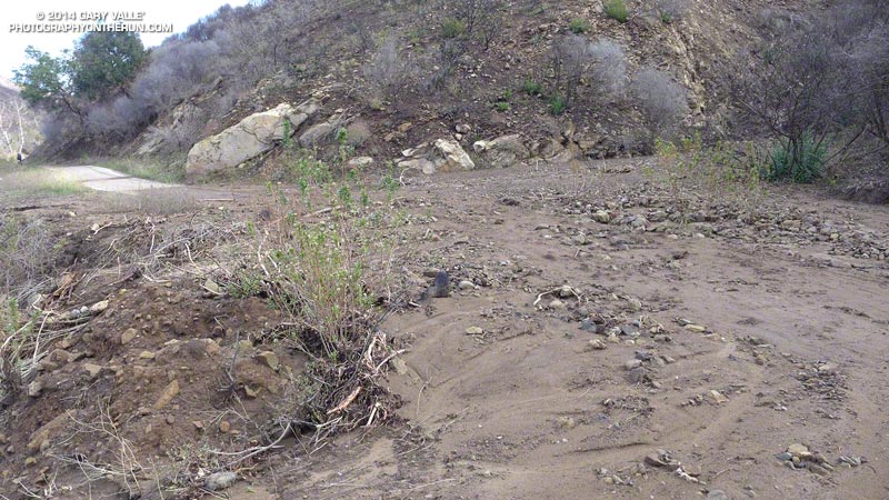 Mud and debris on Sycamore Canyon Fire Road from a tributary ravine. This is north of the Danielson Multi-Use Area and the view is up the road.