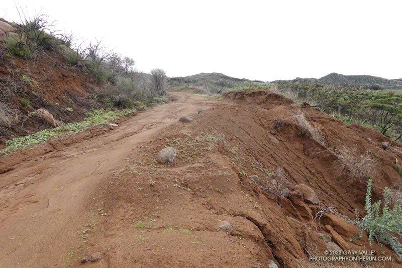 Runoff erosion on Eagle Springs Fire Road.  January 15, 2023.