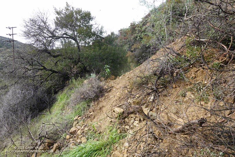 Looking back at a mudslide on the Bent Arrow Trail.  January 15, 2023.