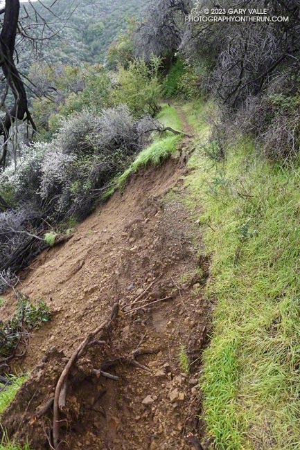 Collapsed section of the Garapito Trail.  January 15, 2023.