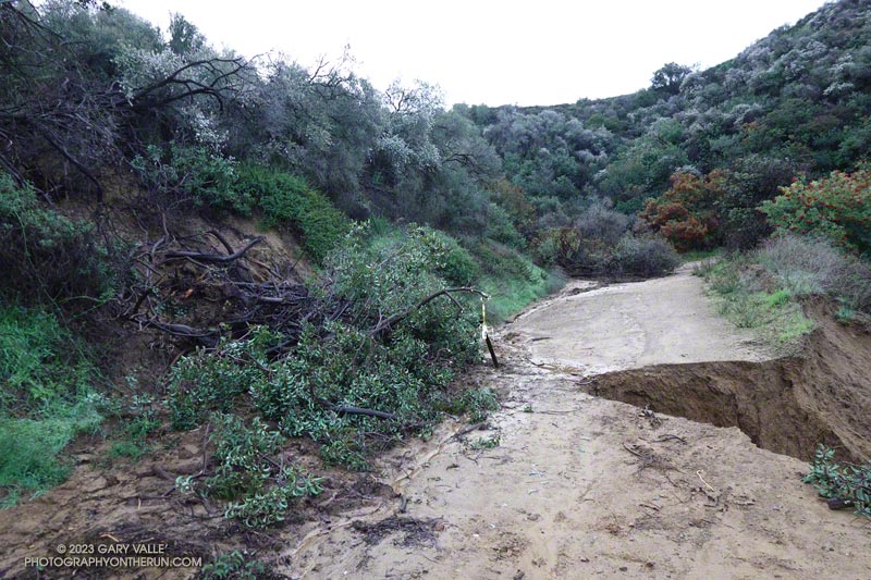 Small mudslides and runoff erosion on Fire Road #30.  January 15, 2023.