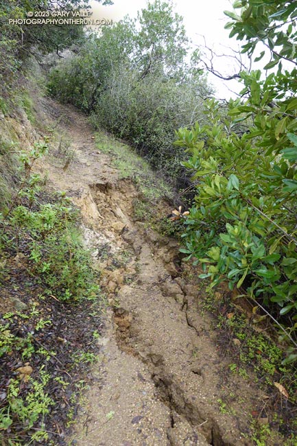 Typical collapse of trail shoulder due to saturated soil on moderately steep slope. Garapito Trail,  January 15, 2023.