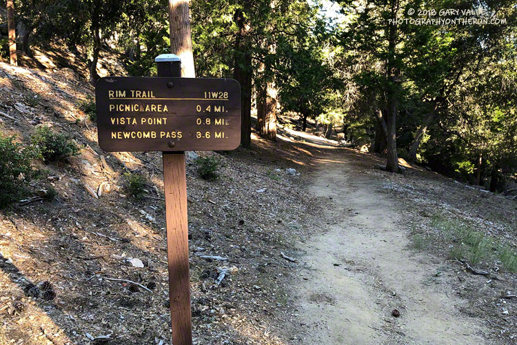 The start of the Rim Trail near the top of Mt. Wilson.