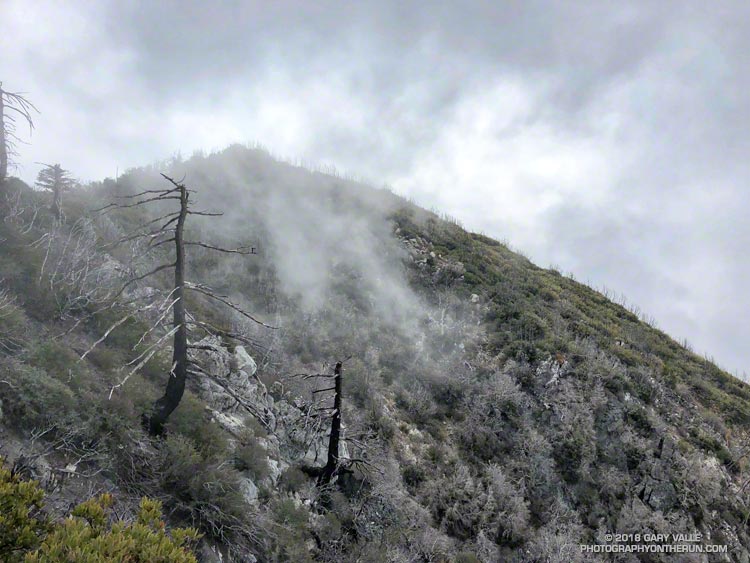 Clouds on the west face of San Gabriel Peak. This side of San Gabriel Peak was burned in the 2009 Station Fire. There was still a little (easily-avoided) Poodle-dog Bush along the trail above the Mt. Disappointment - San Gabriel Peak saddle.