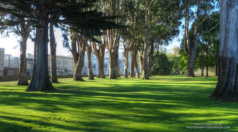 Presidio grounds near Lombard Gate, just east of Letterman Digital Arts Center. Lyon Street is on the left.