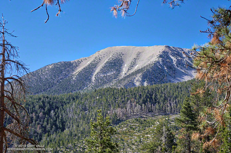 San Gorgonio Mountain from the Dollar Lake Trail. The summit is on the left of the crest, but hidden from view.
