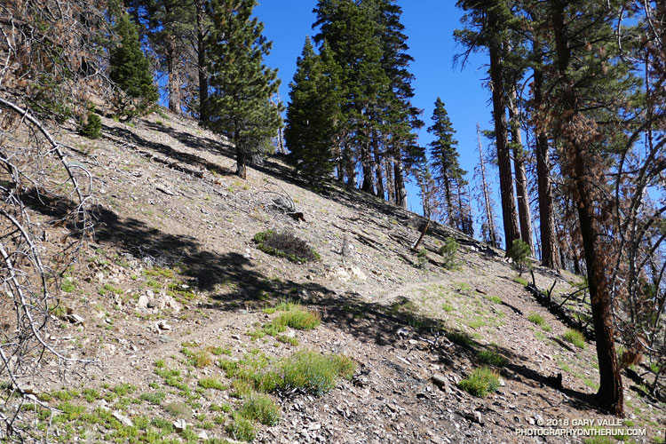 One switchback near the start of the Dollar Lake Trail is nearly a half-mile long.