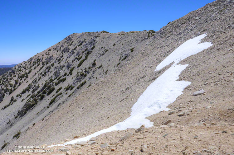 There were a few widely scattered patches of snow. Elevation about 11,050 ft. June 9, 2018.