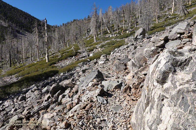 Rocky section of Dollar Lake Trail. The rock is foliated geneiss, metamorphosed from deeply buried sediments. According to Dibblee and Minch the age is probably Precambrian, which would make the source of the sediments even older.