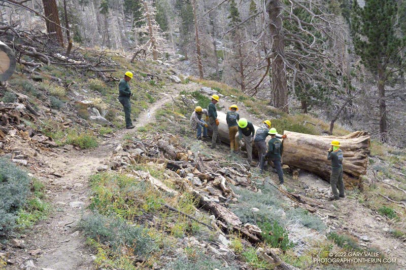 USFS SWGA Trails Volunteers removing a large tree from a switchback on the Dry Lake Trail, above South Fork Meadows.
