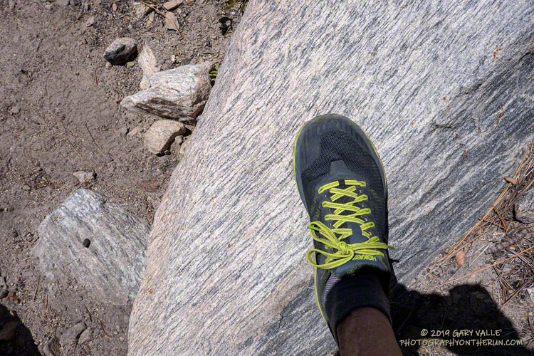 Finely foliated gneiss found along the Dry Lake Trail below Dry Lake. The shoe is a Hoka One One Challenger ATR 5. Elevation is about 8870'. July 27, 2019.