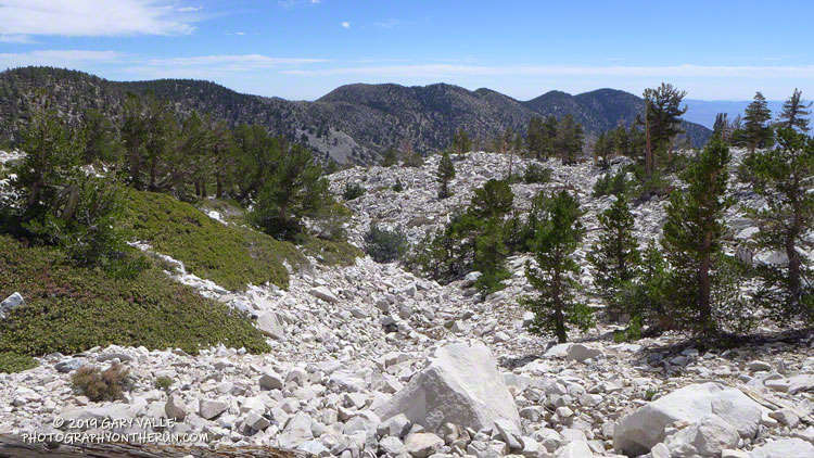 Glacial till and possible moraine on the Sky High Trail. The source was the prominant northeast-facing cirque on San Gorgonio, previously mentioned. Photo is from August 2013.