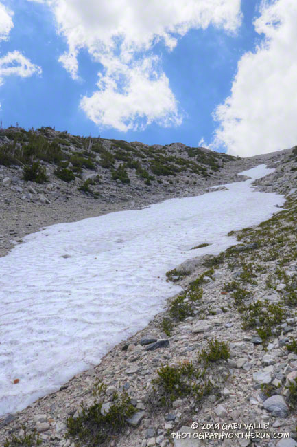 Snow in northeast-facing chute that extends nearly to San Gorgonio's summit. Elevation here is about 10, 200'.