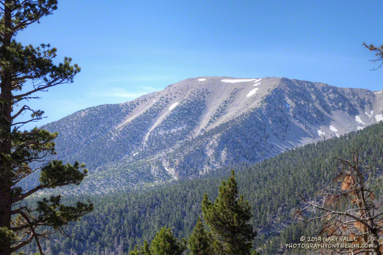 San Gorgonio's north face from the Dollar Lake Trail. July 27, 2019.