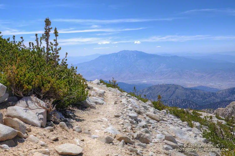 San Jacinto Peak (10,839') from an elevation of about 11,165', near the top of the Sky High Trail. July 27, 2019.