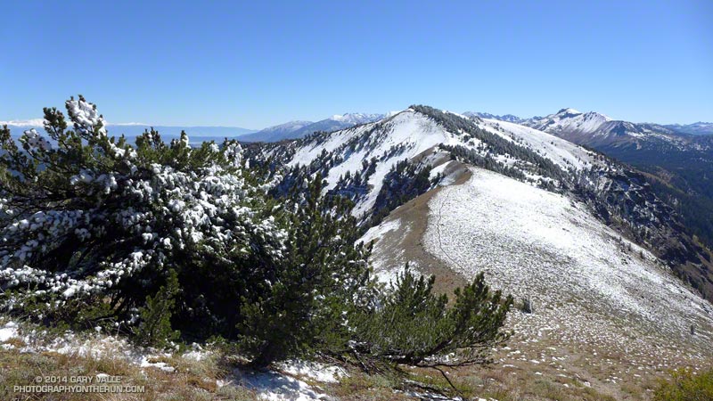 San Joaquin Ridge with Mammoth Mountain in the distance from just north of Deadman Pass.