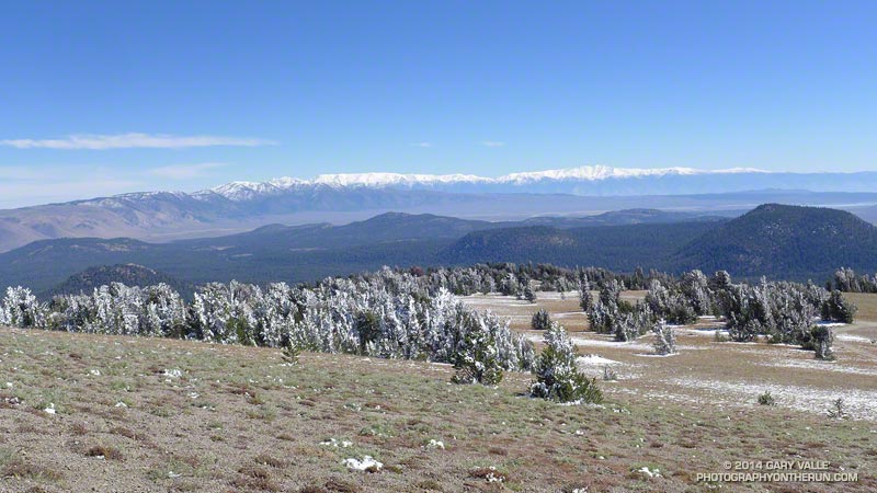 Rimed trees along San Joaquin Ridge following the first snow of Autumn. Glass Mountain Ridge masks the view of Montgomery and Boundary Peaks in the White Mountains.  White Mountain Peak (14,246') is on the right-center skyline.