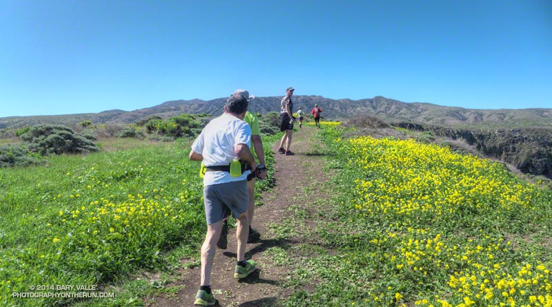 Continuing on the mustard-lined trail toward the Potato Harbor overlook. Montañon Ridge is in the background.