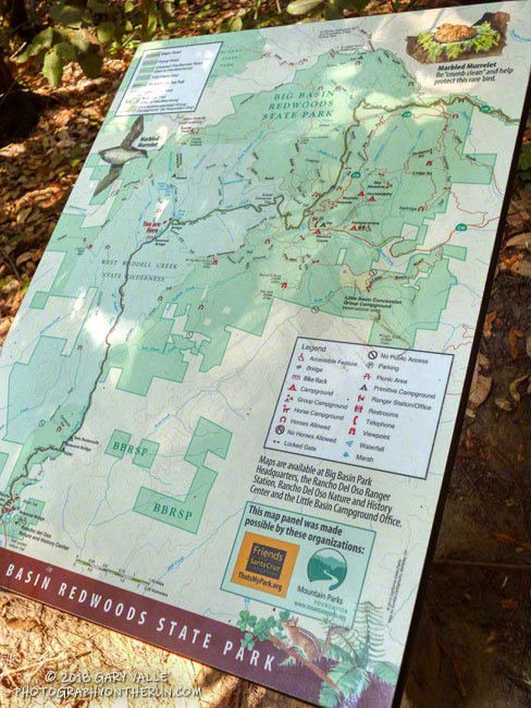 You are here! Junction of Berry Creek Falls Trail & Skyline to the Sea Trail. About mile 20.75.