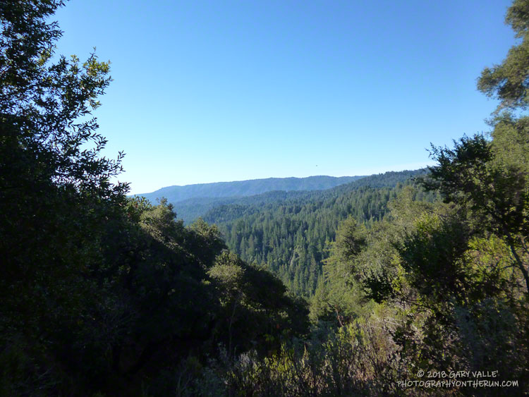 The Skyline to the Sea Trail traverses miles and miles of Douglas-fir and redwood forests in Castle Rock and Big Basin Redwood State Parks.