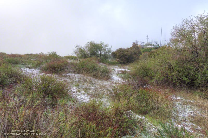 A little snow on Saddle Peak (2806+'). This patch of snow is at an elevation of about 2740'. February 26, 2023.