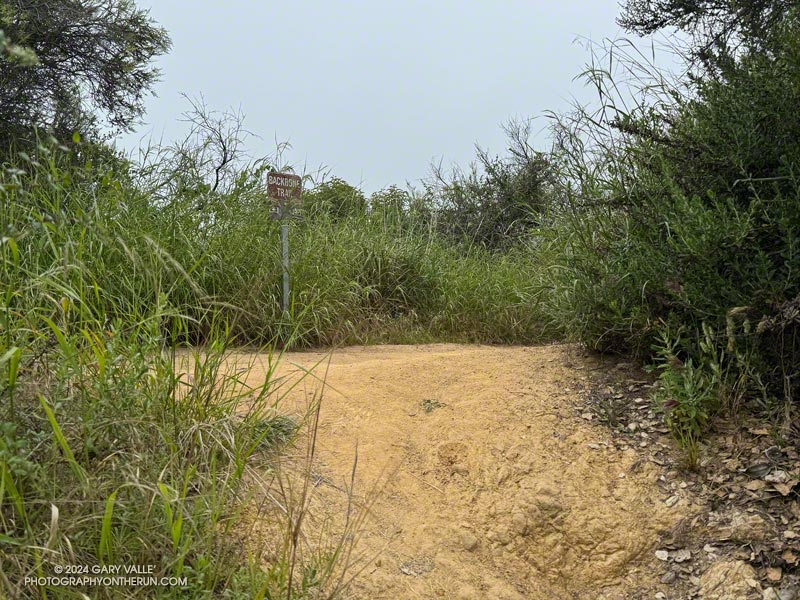 Backbone Trail sign at the top of the Josepho Drop Trail. Left goes to Will Rogers. Right goes to the Hub. This is about 9 miles into the trail run from the Top of Reseda.