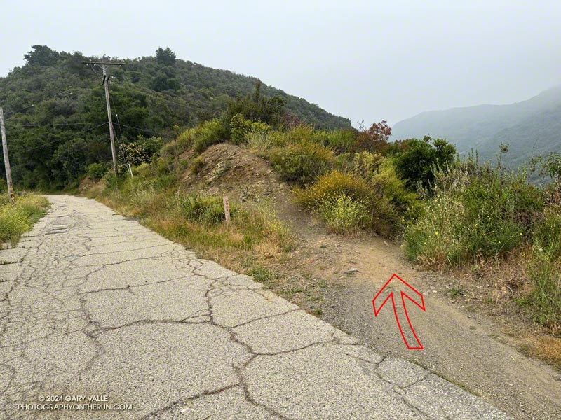 The turn onto the Old Stables Trail from Sullivan Ridge Fire Road.