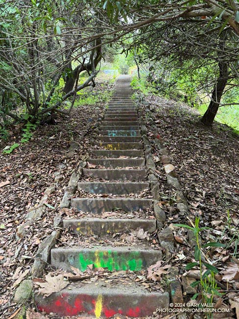 A long staircase near the 1930s-era Murphy Ranch powerhouse in Rustic Canyon. This is downstream of the Josepho Drop junction. May 12, 2024.