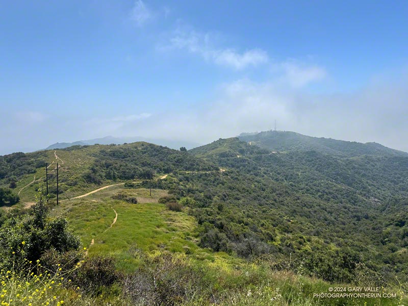 On the way up Temescal Ridge Fire Road from Temescal Canyon, I usually take a short side trip to Temescal Lookout on the way to the Hub. This view is of a stretch of Temescal Ridge Fire Road in the area of Green Peak. From the lookout site, it's about 1.7 miles to the Hub and 4.25 miles to the Top of Reseda.