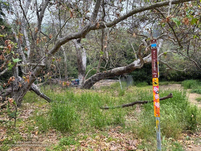 The trail sign marking the junction of the unmaintained Will Rogers Trail and the Josepho Drop Trail. The fenced-off ruins of a wooden structure (the stables?) are here. May 12, 2024.