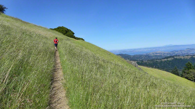 Continuing up the Old Mine Trail. Mt. Diablo is in the distance.
