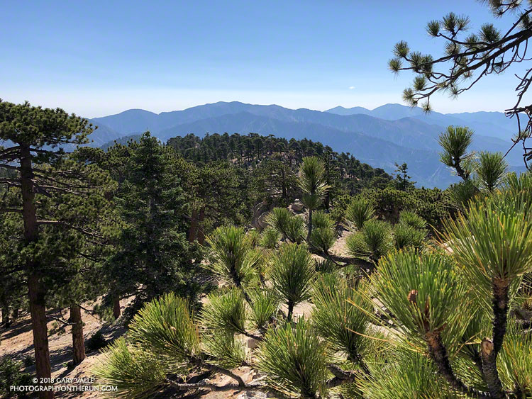 View toward Mt. Baden-Powell and Mt. Baldy from the summit block of Waterman Mountain (8038').