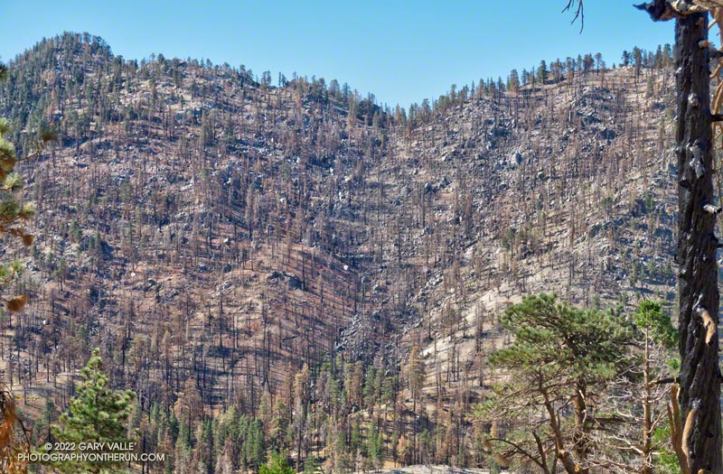 A closer look at Twin Peaks, following the 2020 Bobcat Fire. August 14, 2022.