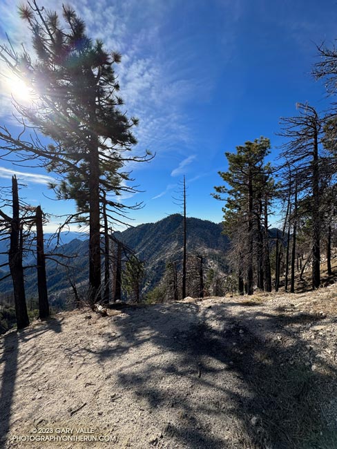 Twin Peaks from the Buckhorn - Mt. Waterman Trail. Angeles Crest Highway had opened on November 3, but I didn't encounter a single person on this popular trail. November 5, 2023.