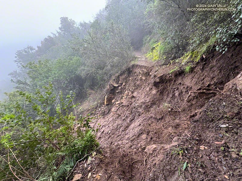 Washed out section of the Garapito Trail about a half-mile from Eagle Rock Fire Road. The photo is from the west side of the washout. February 17, 2024.