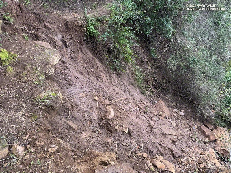 Washed out section of the Garapito Trail about a half-mile from Eagle Rock Fire Road. The photo is from the east side of the washout. February 25, 2024.