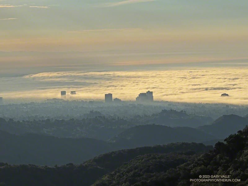 View from Temescal Peak of a very shallow marine layer over Santa Monica Bay and amid the buildings of Santa Monica. October 8, 2023.