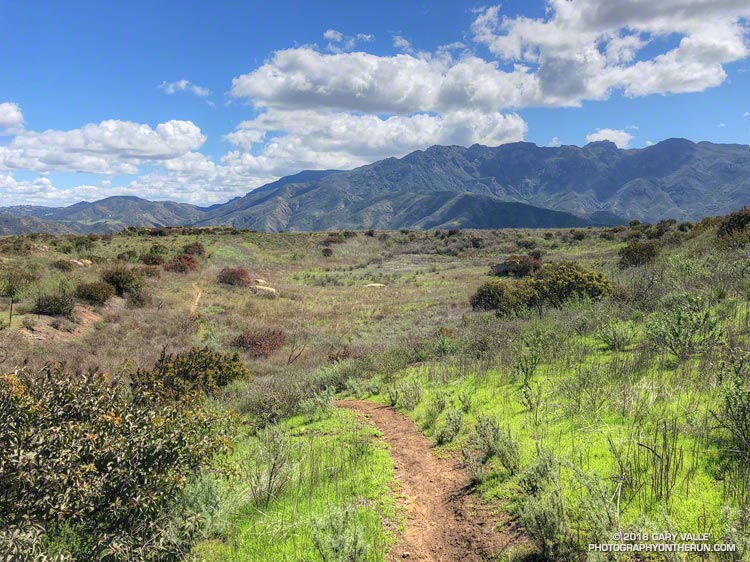 The Hidden Pond Trail in Pt. Mugu State Park. Boney Mountain's western escarpment is in the background. The pond (which is dry) is in the middle of the photo.