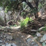 Flash flood debris along the Serrano Canyon Trail
