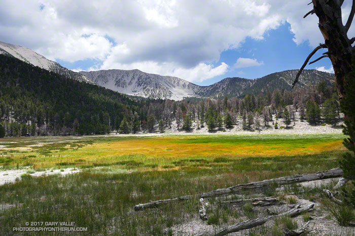 After the Lake Fire: The Dollar Lake - Dry Lake Loop on San Gorgonio ...